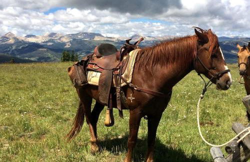 Charming Alpine Log Cabin for Family Vacation near Cora, Wyoming - Photo 8