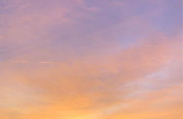 Wilde Möhre Bauwagen Sommerküche Draussen Abenteuer - Photo 26