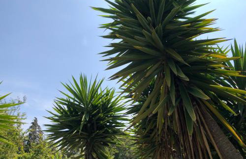 Little Gem with Private Hot Tub - Up to 25 percent off ferry - Foto 30