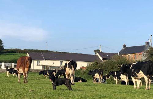 Red Kite Cottage - Foto 45