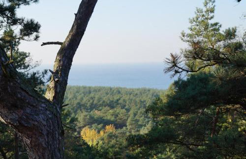 Four Winds - Foto 49