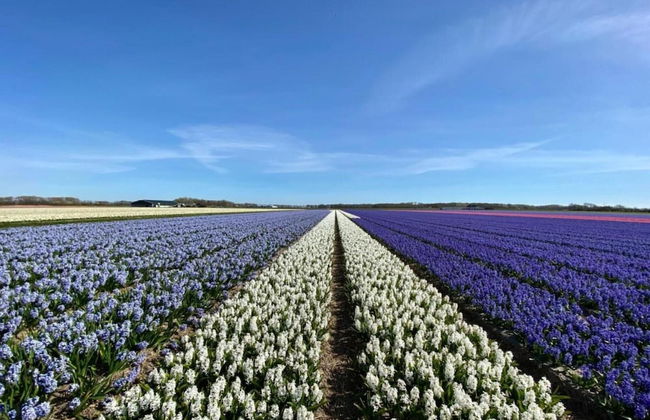 Amazing Viilla Near the Beach - Foto 57