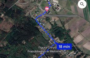 Wilga Leśne SPA - Foto 53