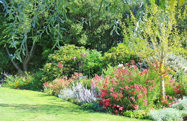 Silverstream Alpaca Farmstay and Tour - Foto 50