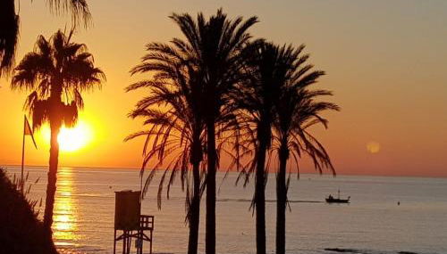 Aloha Beach Vibe - Foto 2