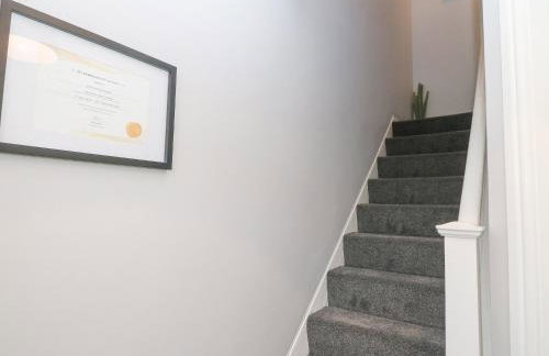 Bythynnod Newydd - Foto 14