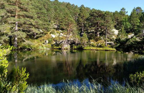 Anatiduero - Foto 27