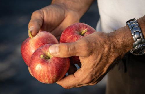 Unterhuberhof - Foto 12