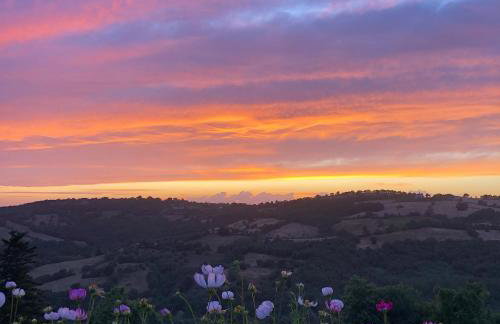 agriturismo Poggio Monte Saturnia - Foto 40