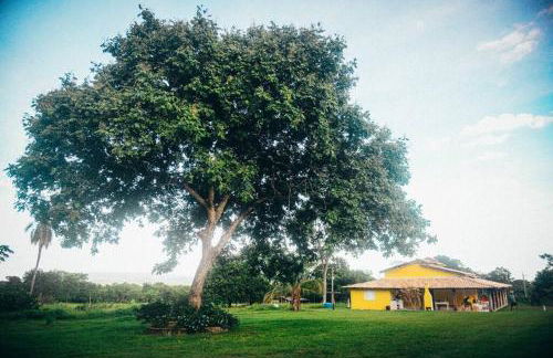 Casa Flor da Serra - Foto 17