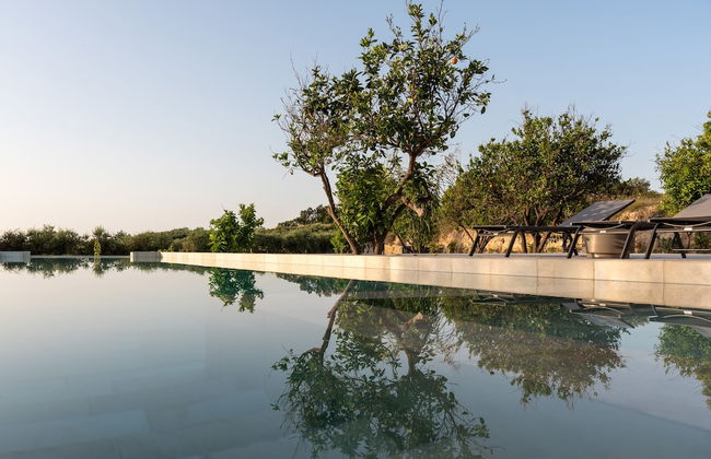 Citrus Grove - Foto 27