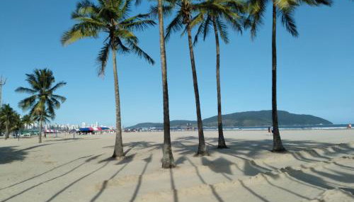 Apartamento lindo e confortável no Canal 1 - Foto 2