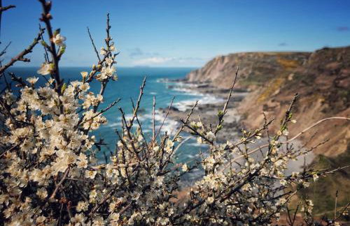 The Barley Mill - Foto 36