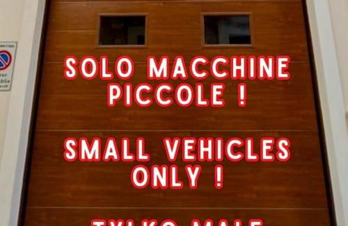 Tedimo Supra - Foto 6