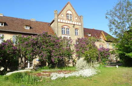 FeWo "Biene" im Kunstgut Krahne - Foto 15