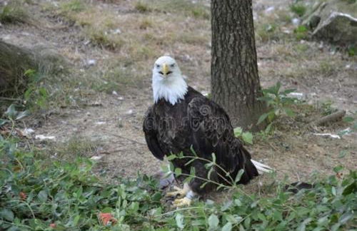 Black Tie Affair - Eloquent Riverfront Experience - Foto 68