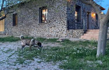 FINCA EL CERRO - Foto 1