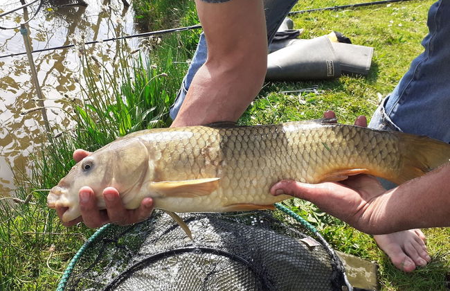 Thornbury Holiday Park - Foto 66