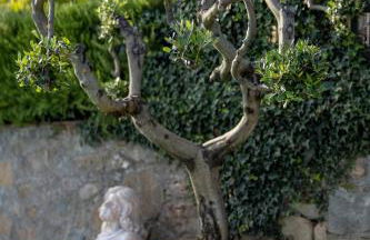 Capitati...per caso - Foto 18