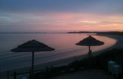 Maison avec jardin clos. Animaux acceptés - Wifi - Proche plages de la Trinité sur Mer et Carnac - Foto 10