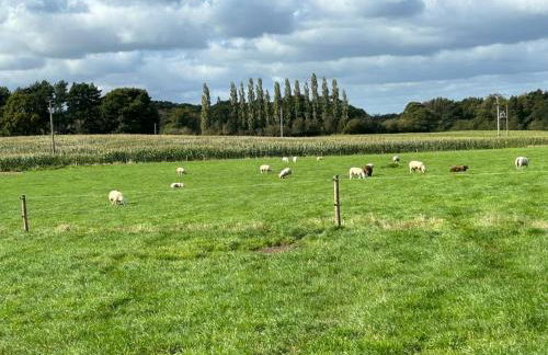 The Lodge - Photo 49