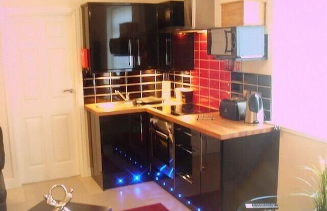 South Beach Apartments - Photo 14