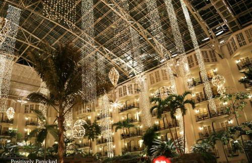 July Discount! Cottage Close to Downtown, Yard - Foto 27