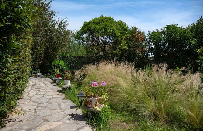 Villa Serenita in Agios Georgios - Foto 41