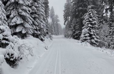 Fichtellofts - Foto 18