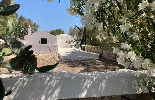 Agroturismo Rafal Rubí - Foto 61