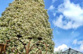 Agriturismo Podere Santa Rita - Foto 40