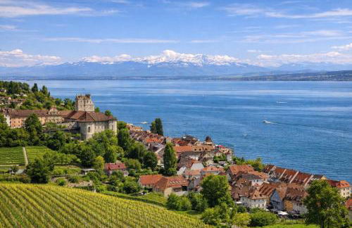 Exklusive LOFT-Wohnung, nur 30 Min von Zürich - Foto 47