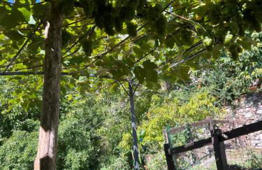 Casa Esterina - Foto 1