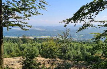 Haus Kellerwald - Ferienwohnung Kellerwald-Edersee - Foto 17