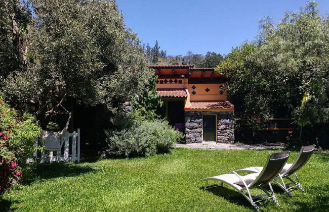 Casas Maravilha - Rvore by Homie - Foto 1