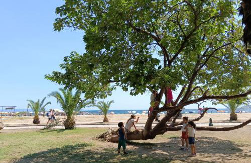 Medusa Beach Apartment, Asprovalta - Foto 42