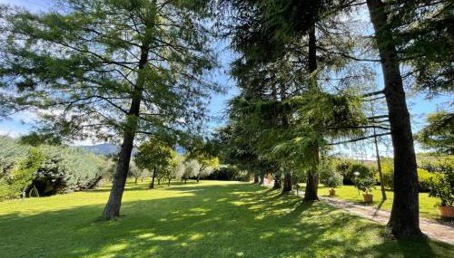 Secret Garden Egle - Foto 5, Garden, Garden view