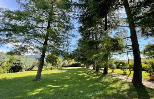 Secret Garden Egle - Foto 5