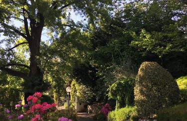 Il Pioppo Antico - Photo 49