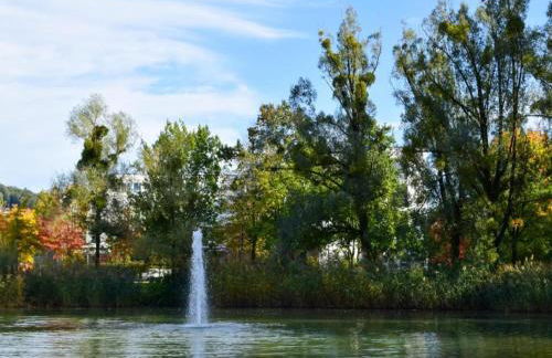 Ferienhaus in Plankenfels - Foto 29