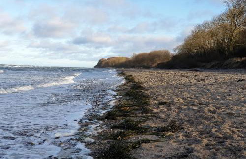 Seesternchen - Foto 2