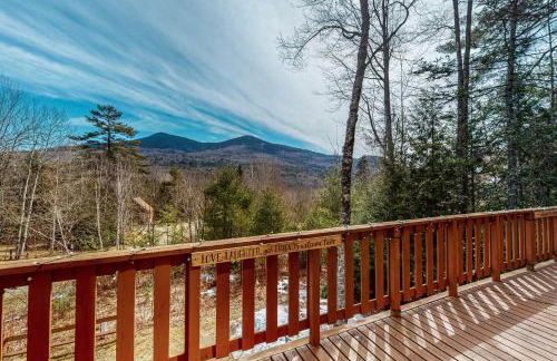 The Liechtenstein Haus - Photo 1