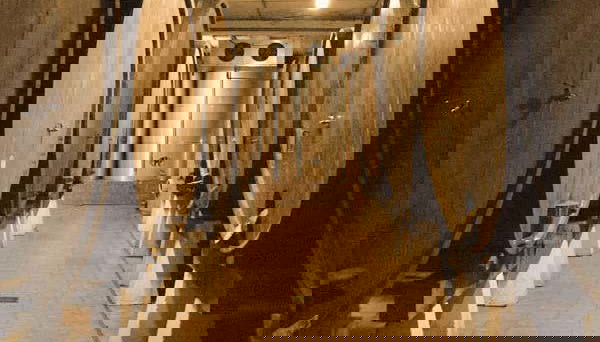 Visita al llagar Sidra JR - Photo 4