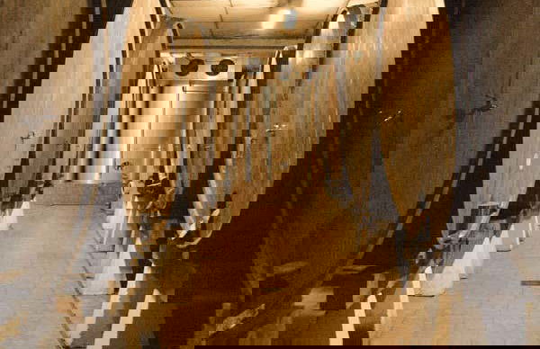 Visita al llagar Sidra JR - Photo 4