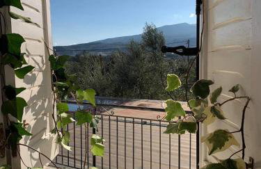 Anastasios Olive Garden Apartments - Foto 26