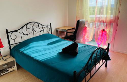 Maison entière à l'orée de Valence -L'orchidée- Île parc Girodet - Foto 18