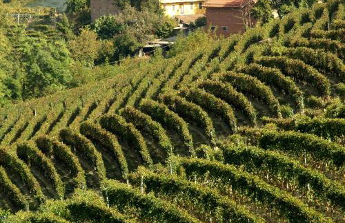 AleKS friendly house - Foto 36