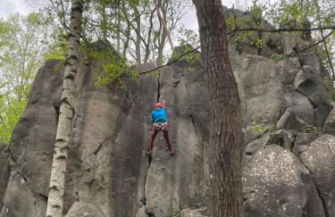 fewo-elzerhof - Foto 35