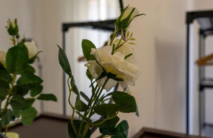 Cagliari Center - Sonnino House - Foto 23