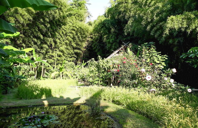 Nice Holiday Home With Private Terrace, Arpaillargues-et-aureillac - Photo 15